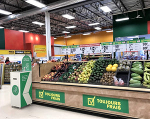 Magnolia disinfectant gel dispenser terminal